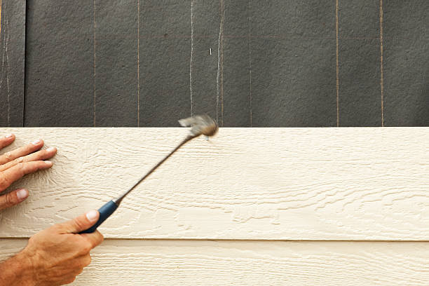 Best Historical Building Siding Restoration  in Ashland, VA